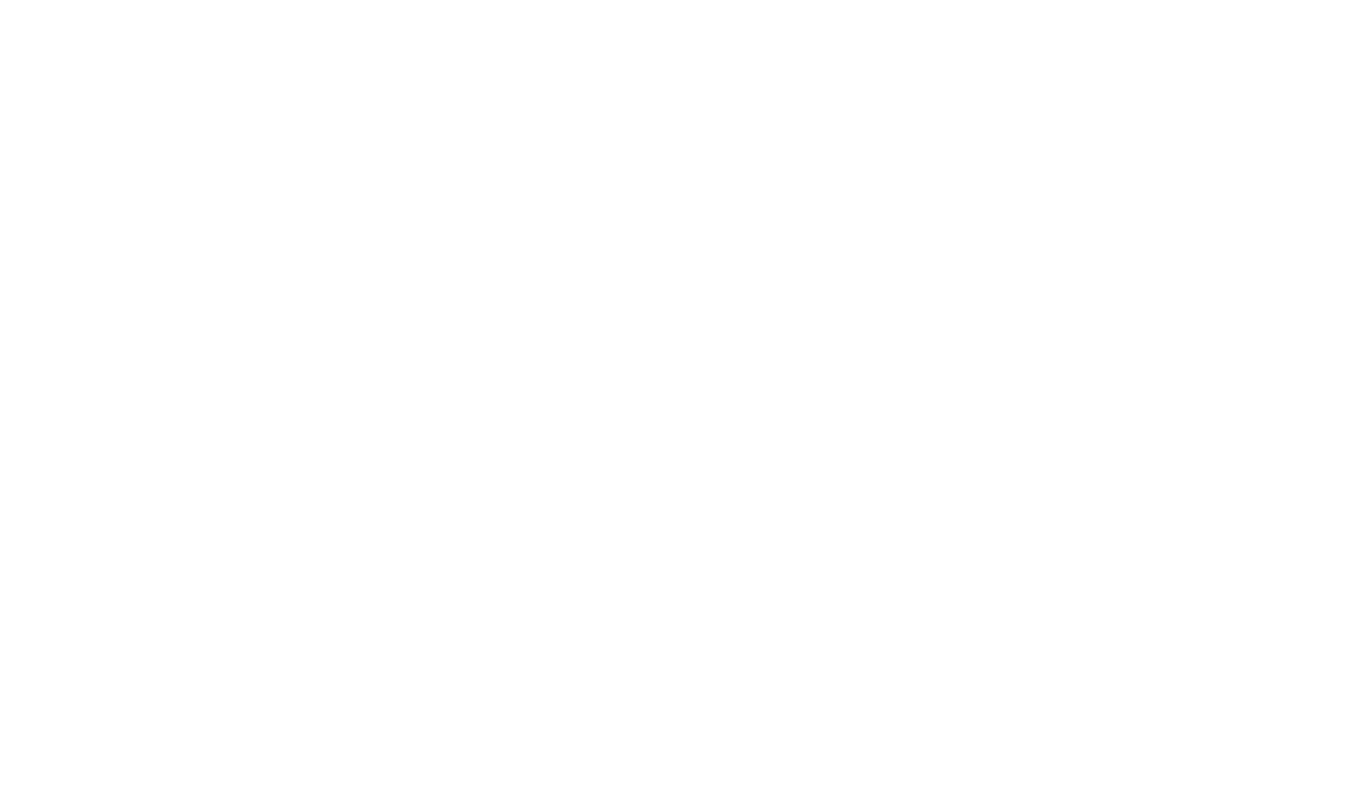 STATIS LOGO Logo